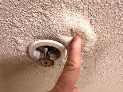 About EcoFortis - water damage restoration experts in Ventura